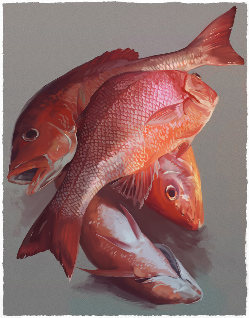 Red Snapper