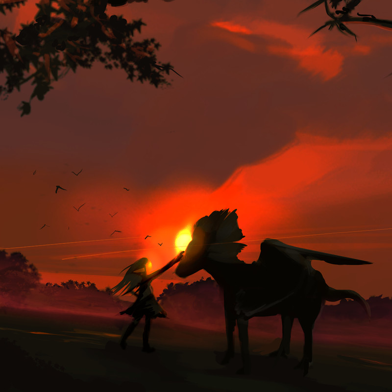 Omni & Sky