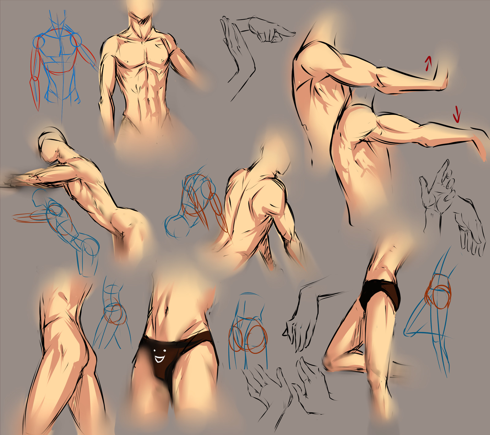 Body Structure (Various Drawers Methods) .