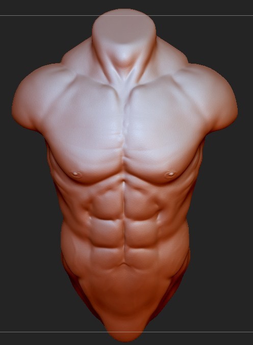 Nirmit Garg Torso Study Zbrush Sculpt