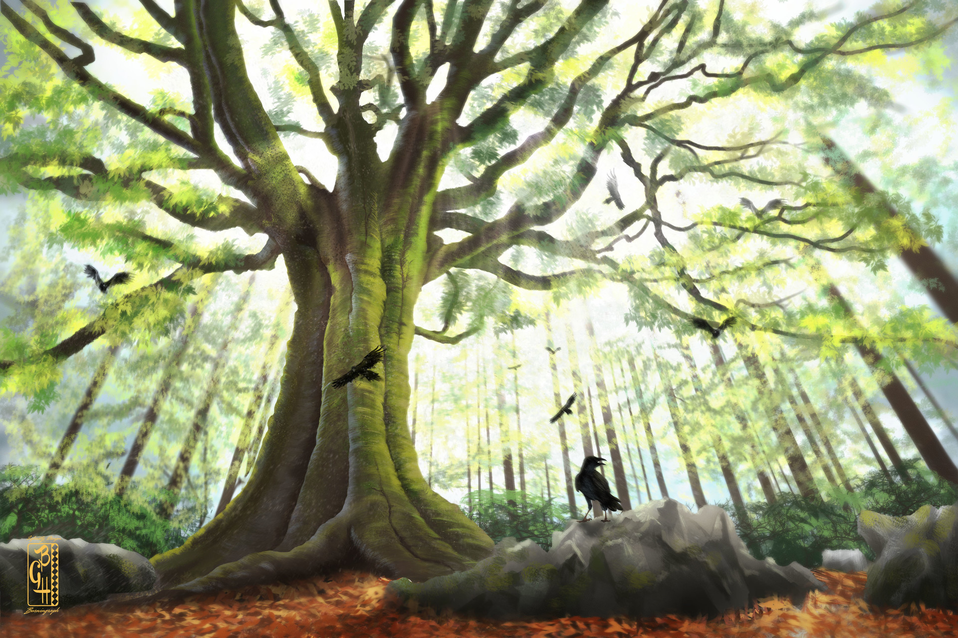 Лес броселианд. That is the tree in the forest. Тропический лес. Сейба дерево фото. Шервудский лес в англии.