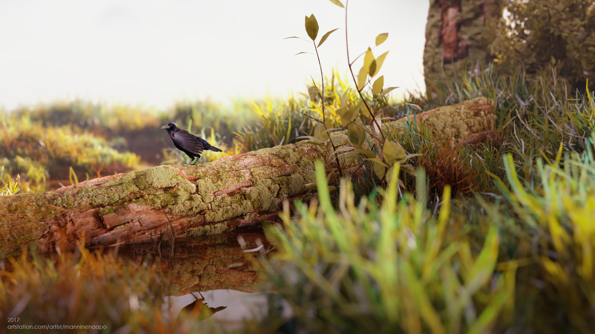 Aapo Manninen A Dream About A Crow Cycles grass and rock shaders. aapo manninen