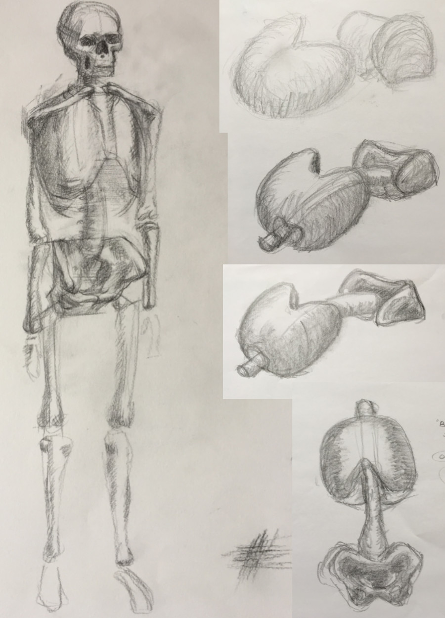 b2 pencil drawing