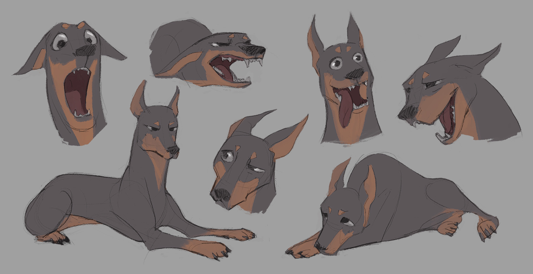 Doberman furry