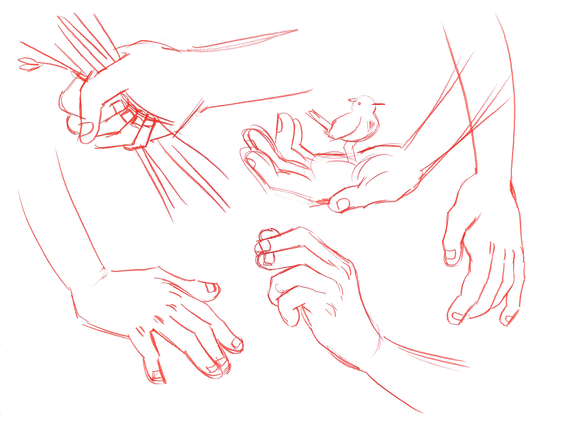 Hand expression. Hand expression breastfeeding. Hand expressing milk. Hand expression milk. Жесты.