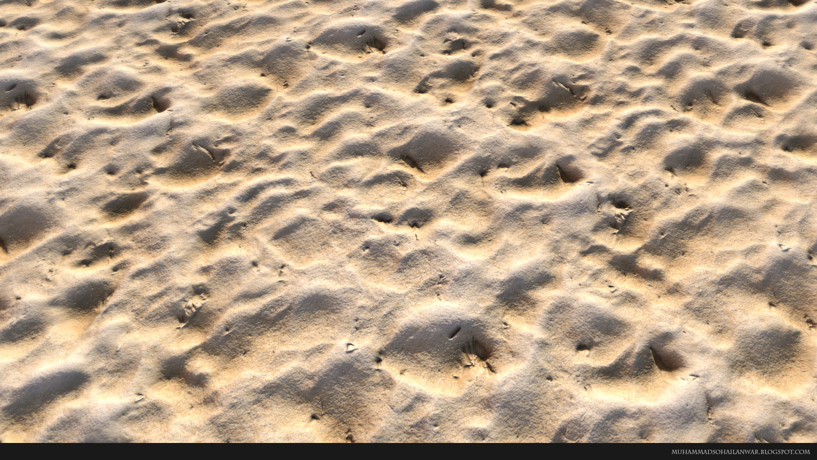 Beach Sand - Close Up 