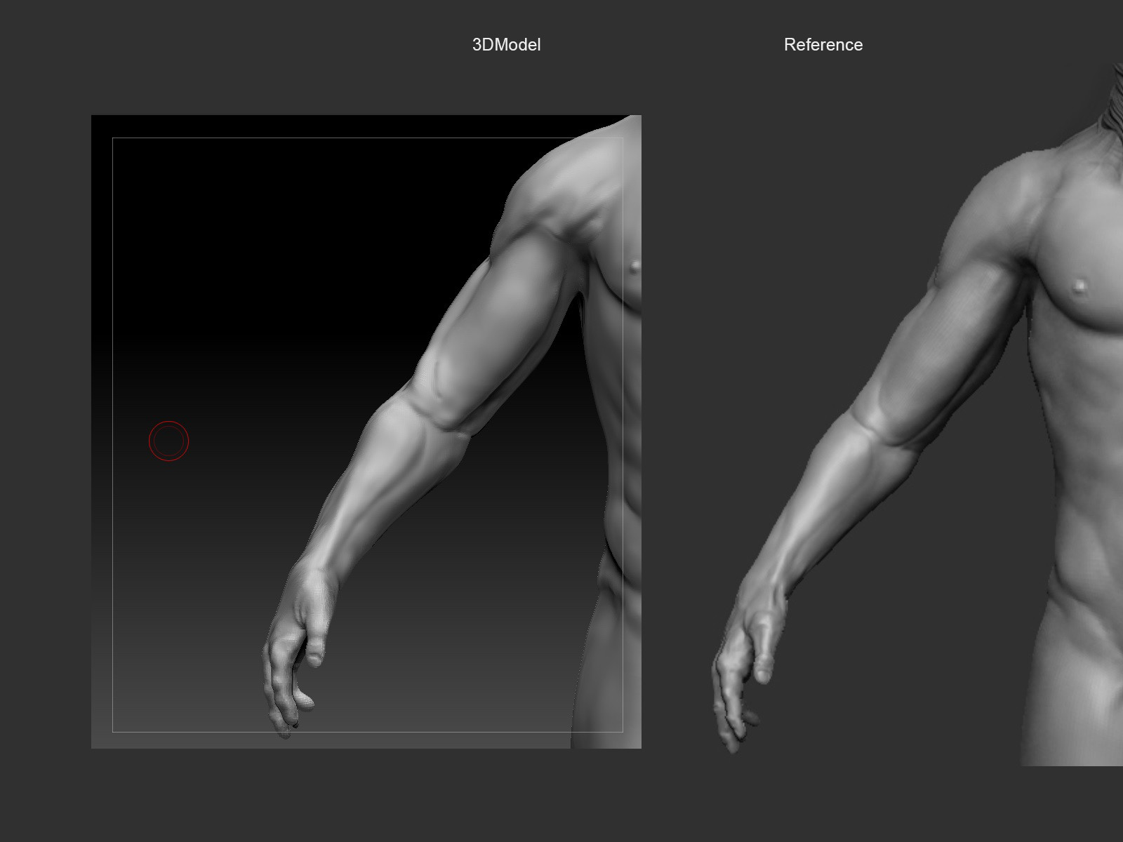 Artstation Wip Human Body Anatomy Modeling Wael M