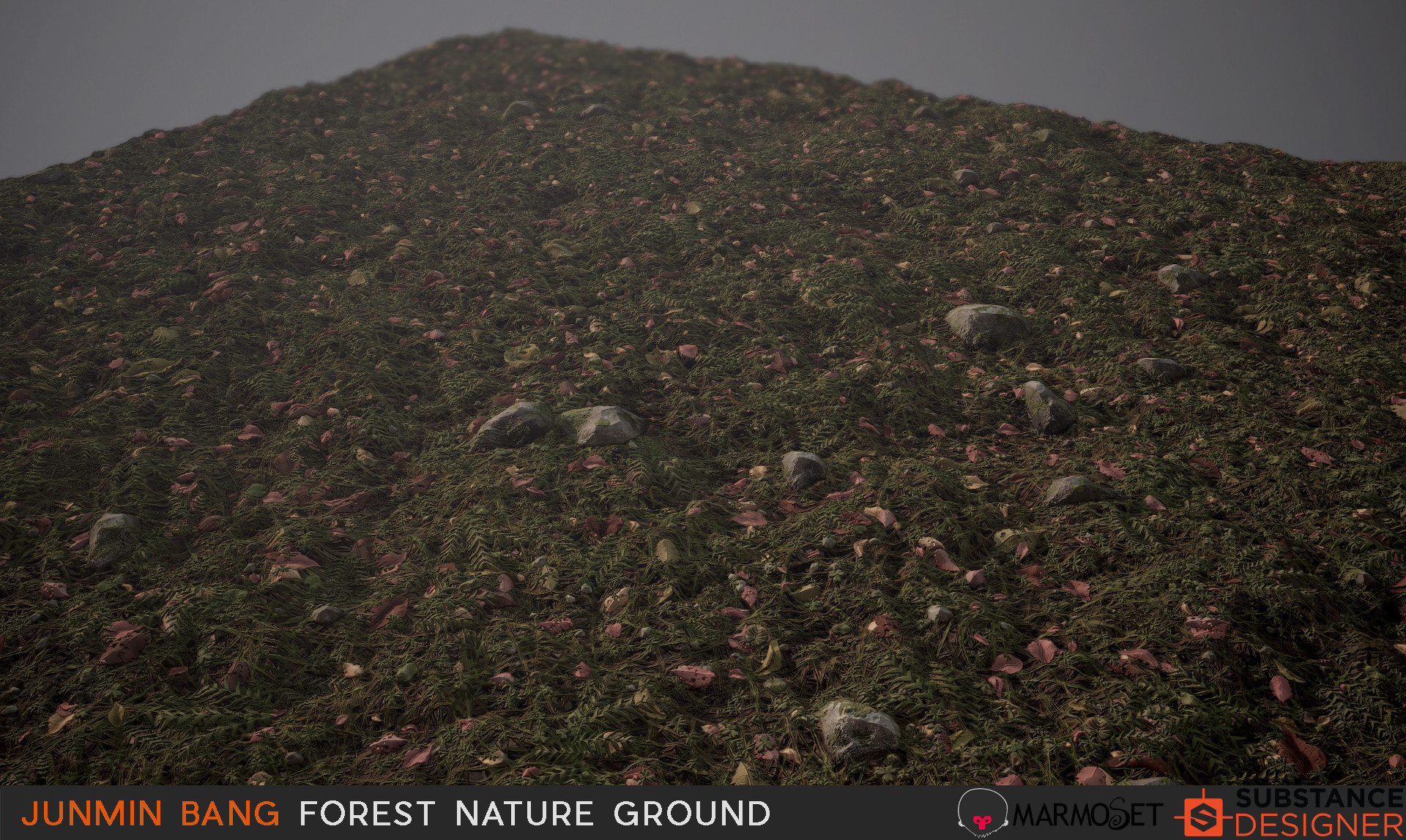 Artstation Forest Nature Ground Substance Designer