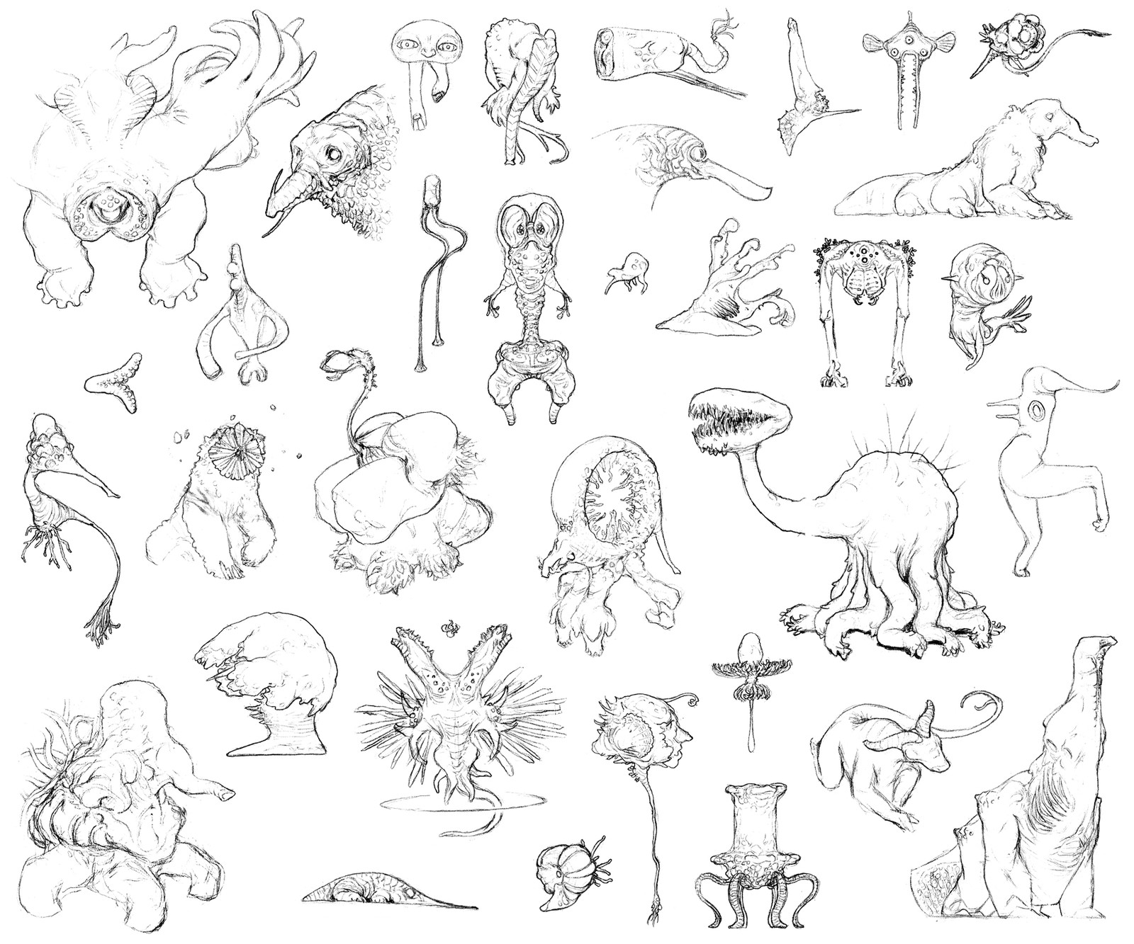 pencil sketches