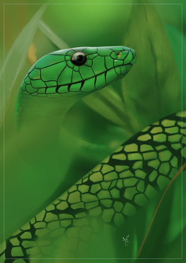 Artstation Mamba Verde Zuio Cesar