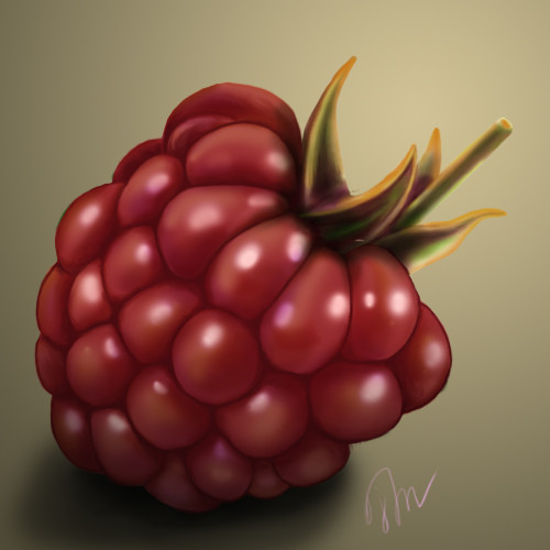 Julia Moshack Raspberry Digital Art Digital Painting