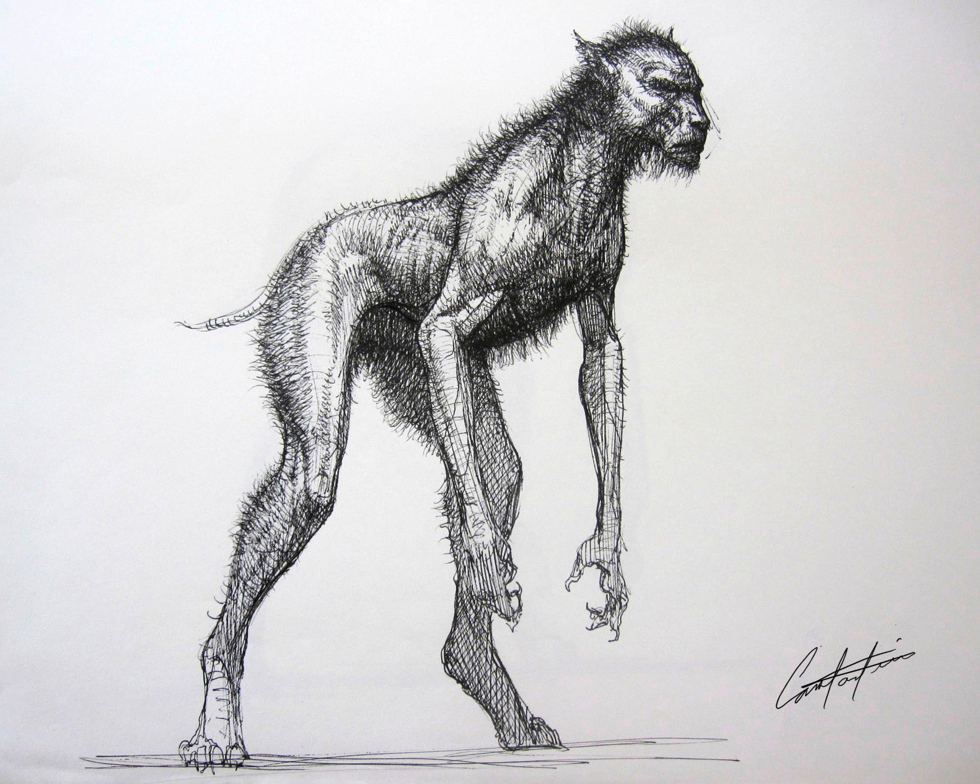 Constantine Sekeris werewolf creature design