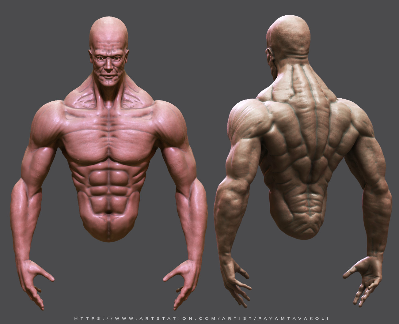 Gea Art  Commissions Open on X Male body sketch digitalart sketch  anatomypainting desenho httpstcocWyXDNO6no  X