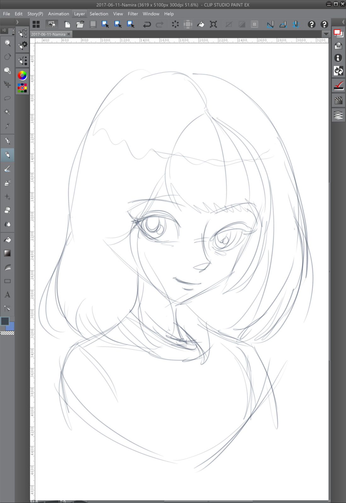 01 - The rough sketch
