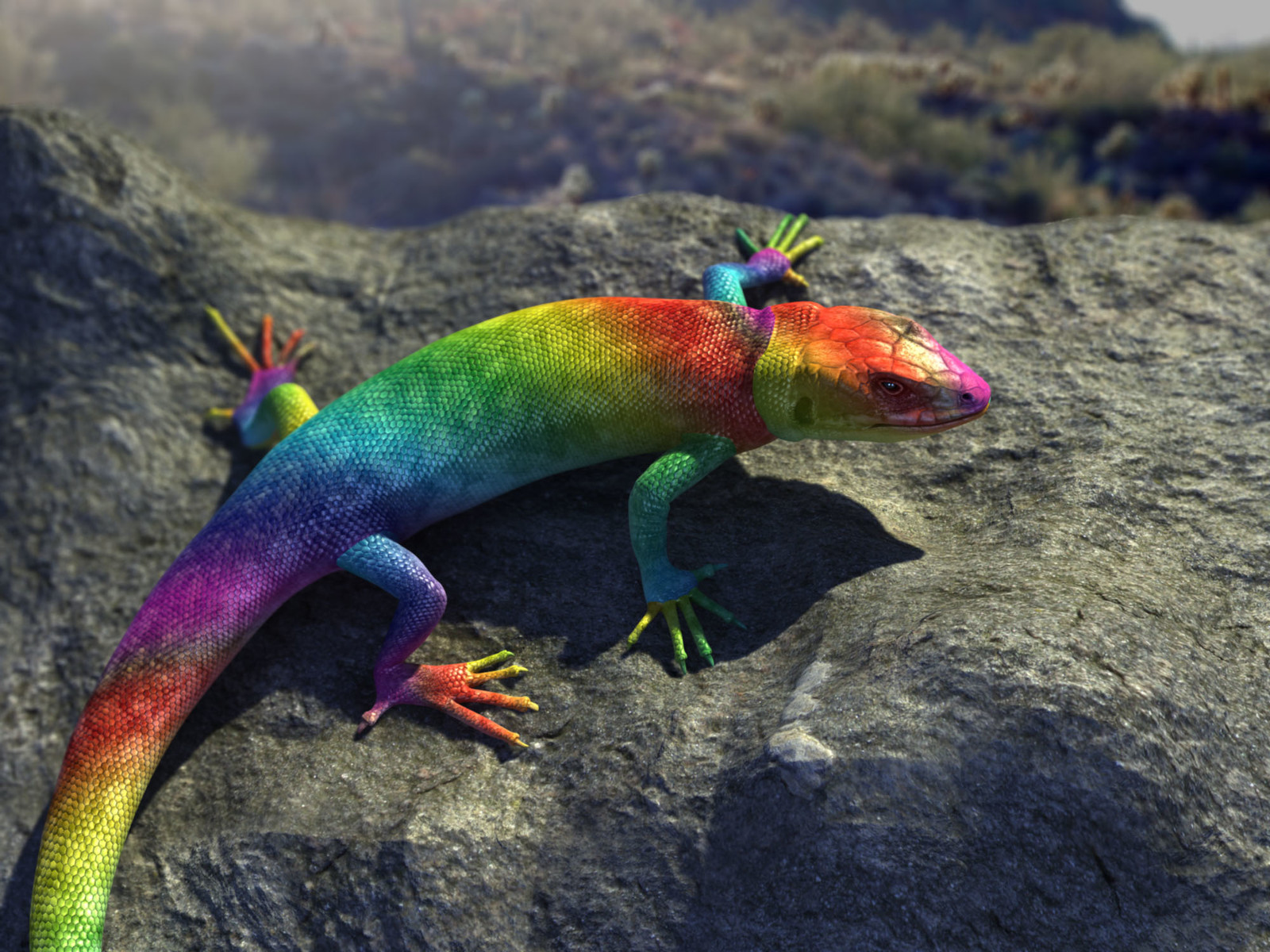 Eddie Lizard