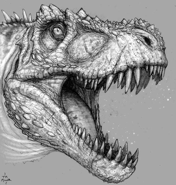 Tyrannosaurus rex head  DINOSAURS AND BARBARIANS
