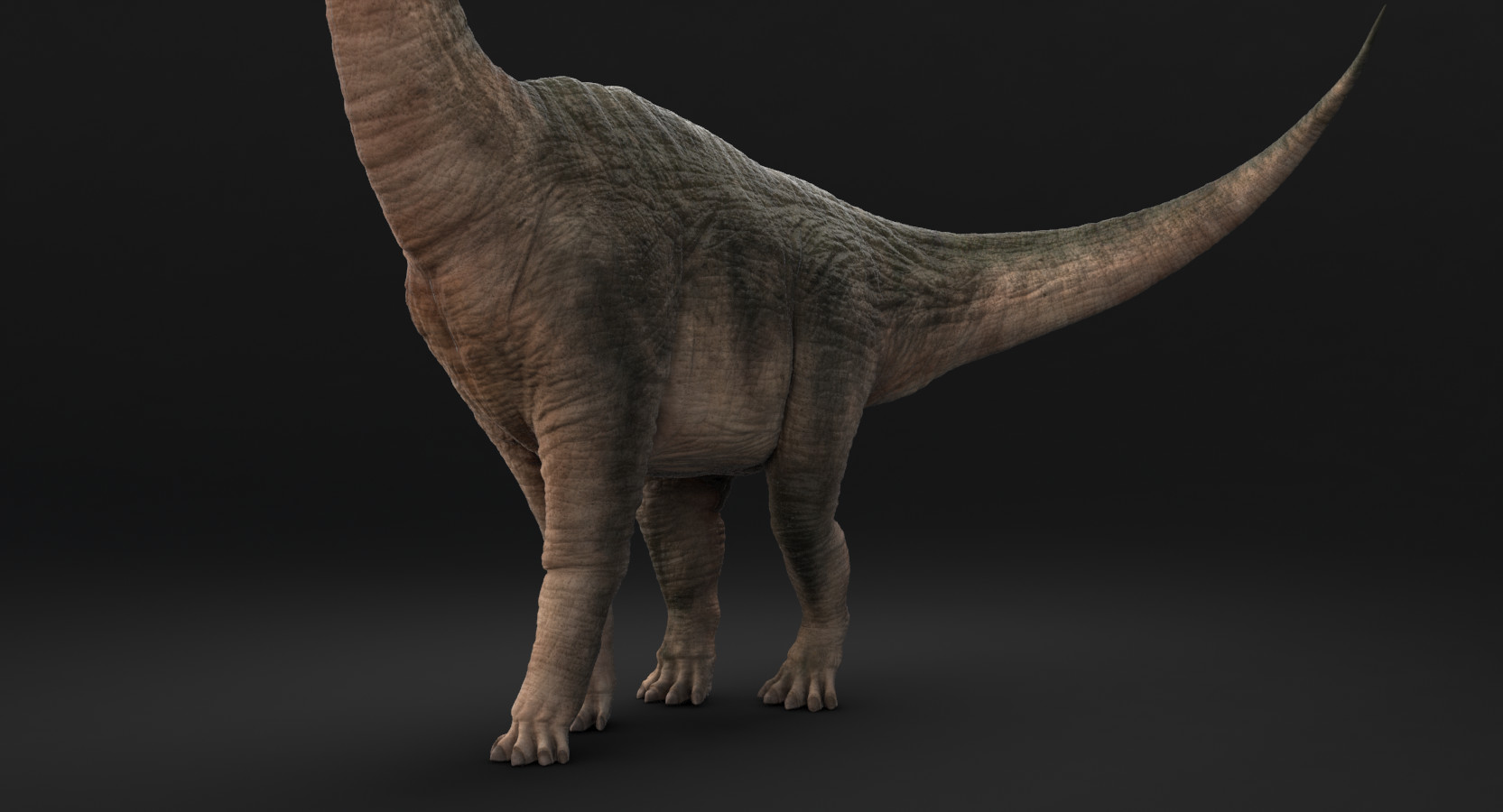 Artstation Brachiosaurus 3d Model Gosha Simonov