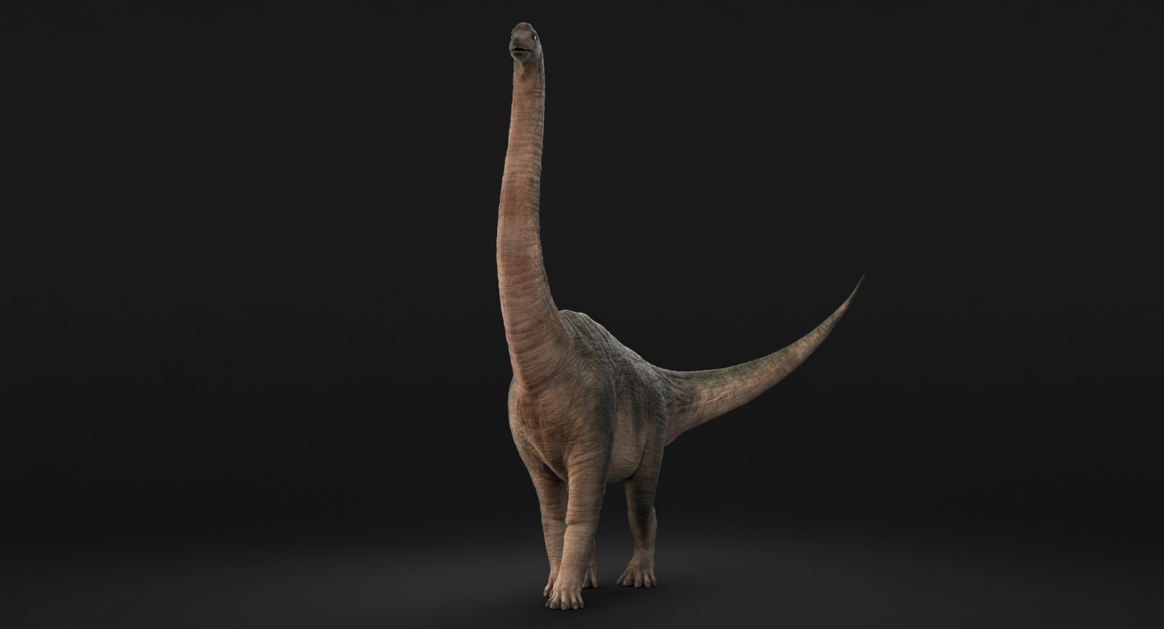 brachiosaurus view in 3d