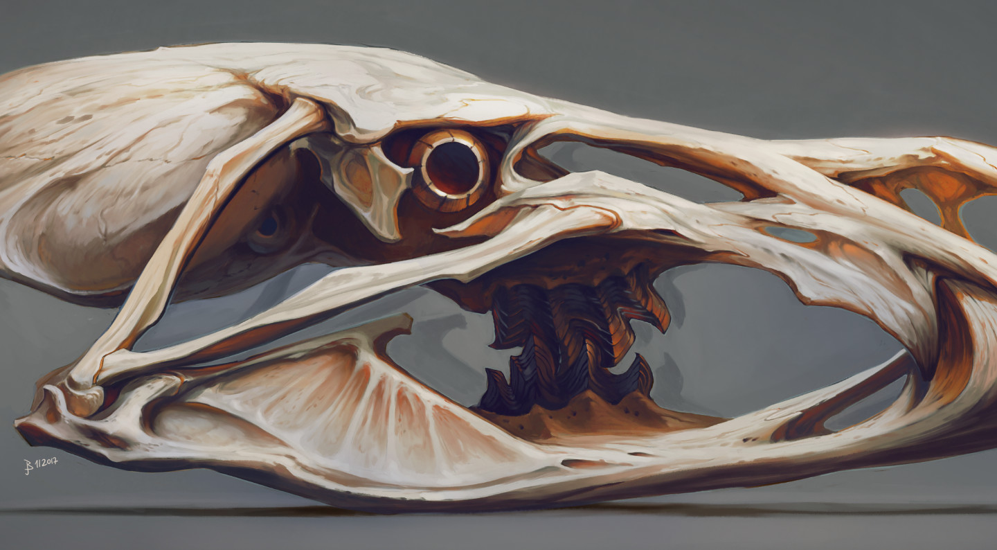Corioalar skull - explorative painting (zoom)
