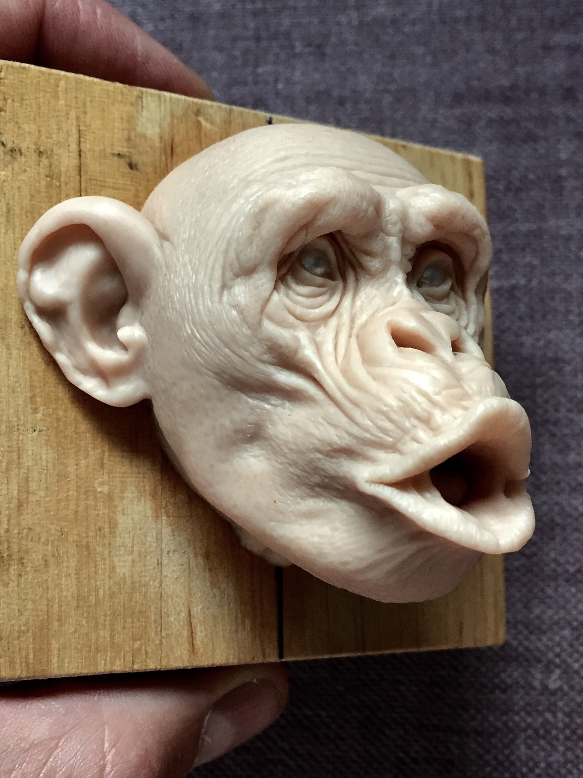 Monkey/super sculpy/ 