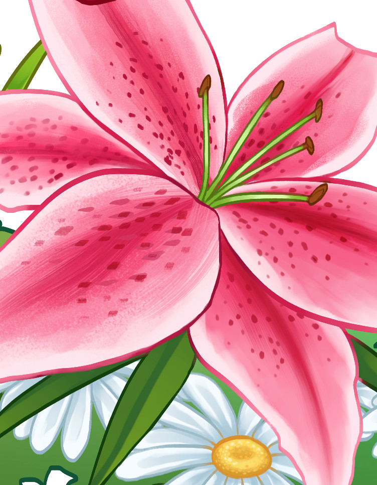Tiger Lily detail