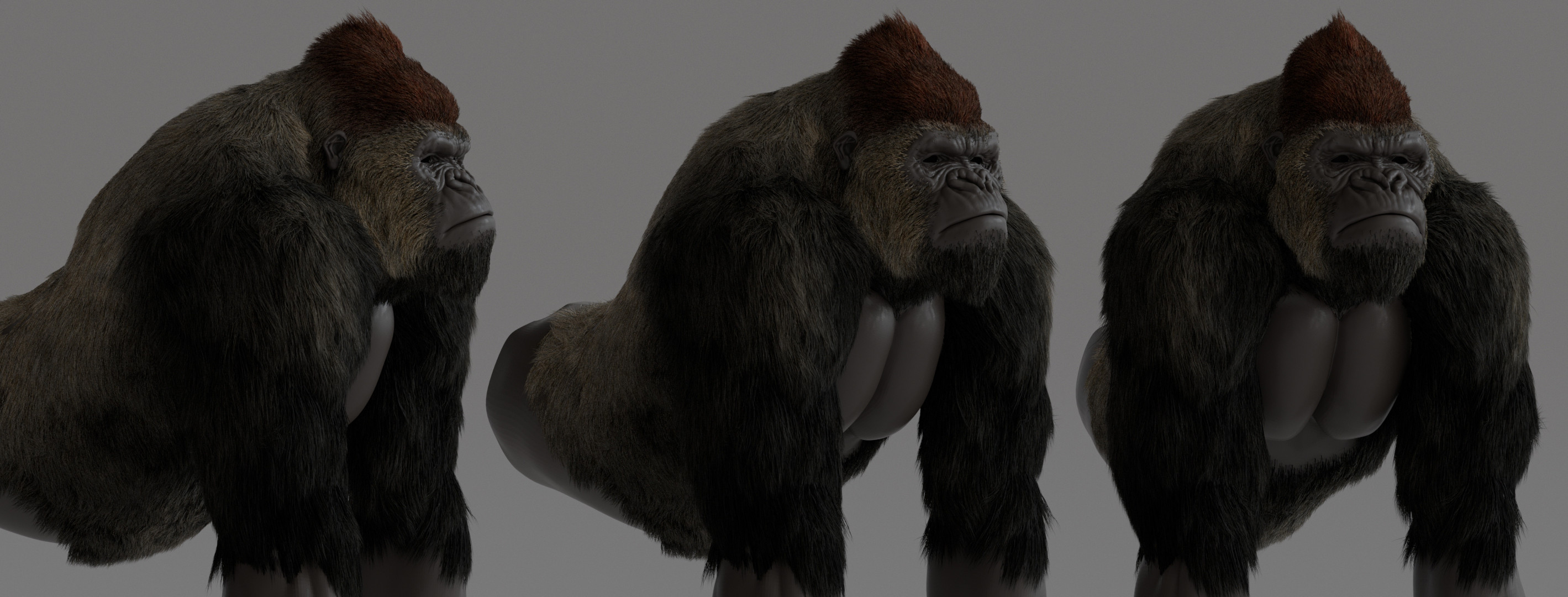 yeti basic first test