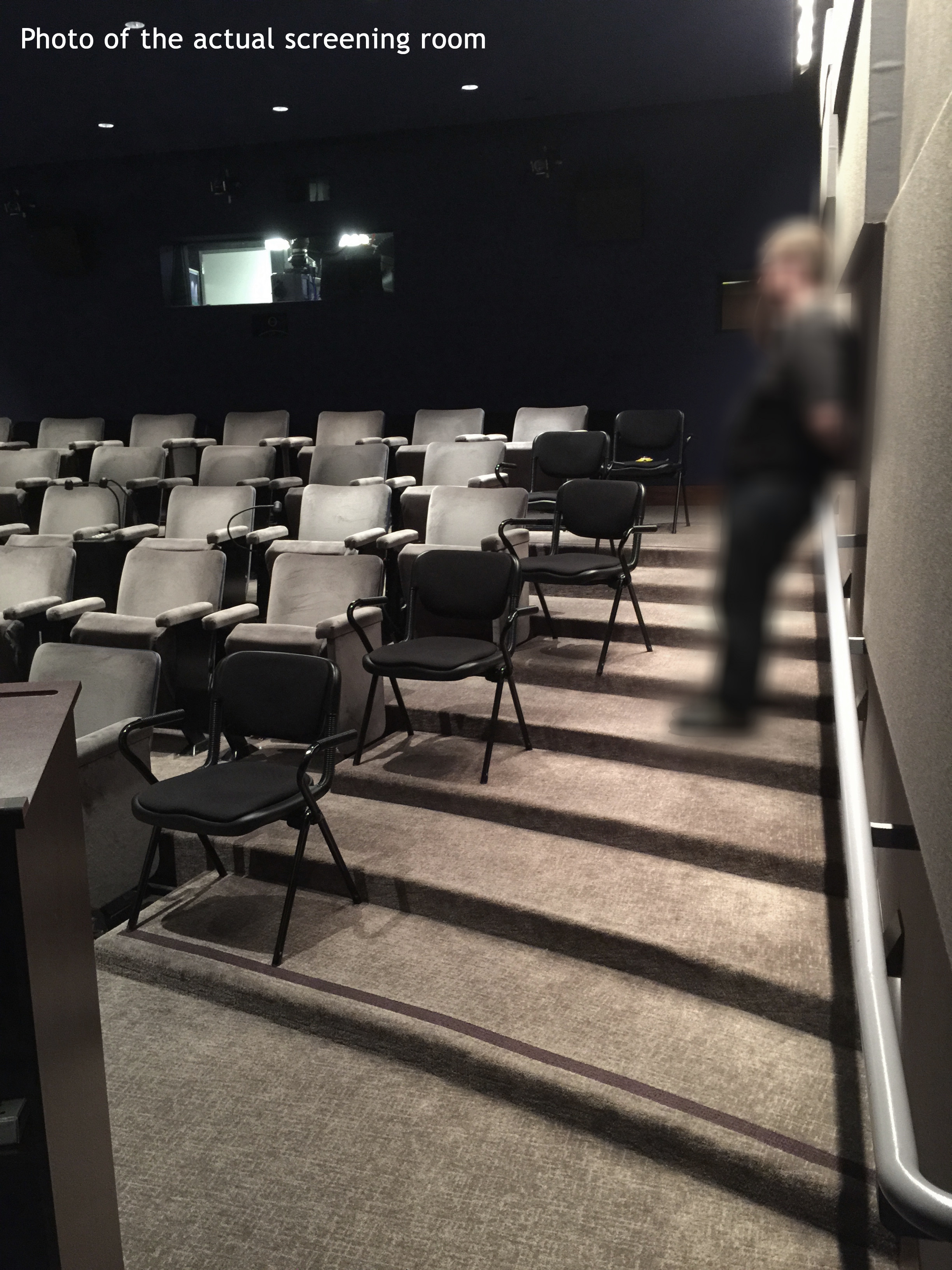 Actual Screening Room | Theater