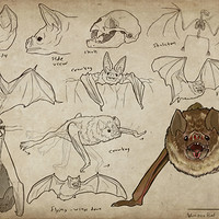 Artstation Top 10 Ways To Draw The Head 5 Frank Reilly