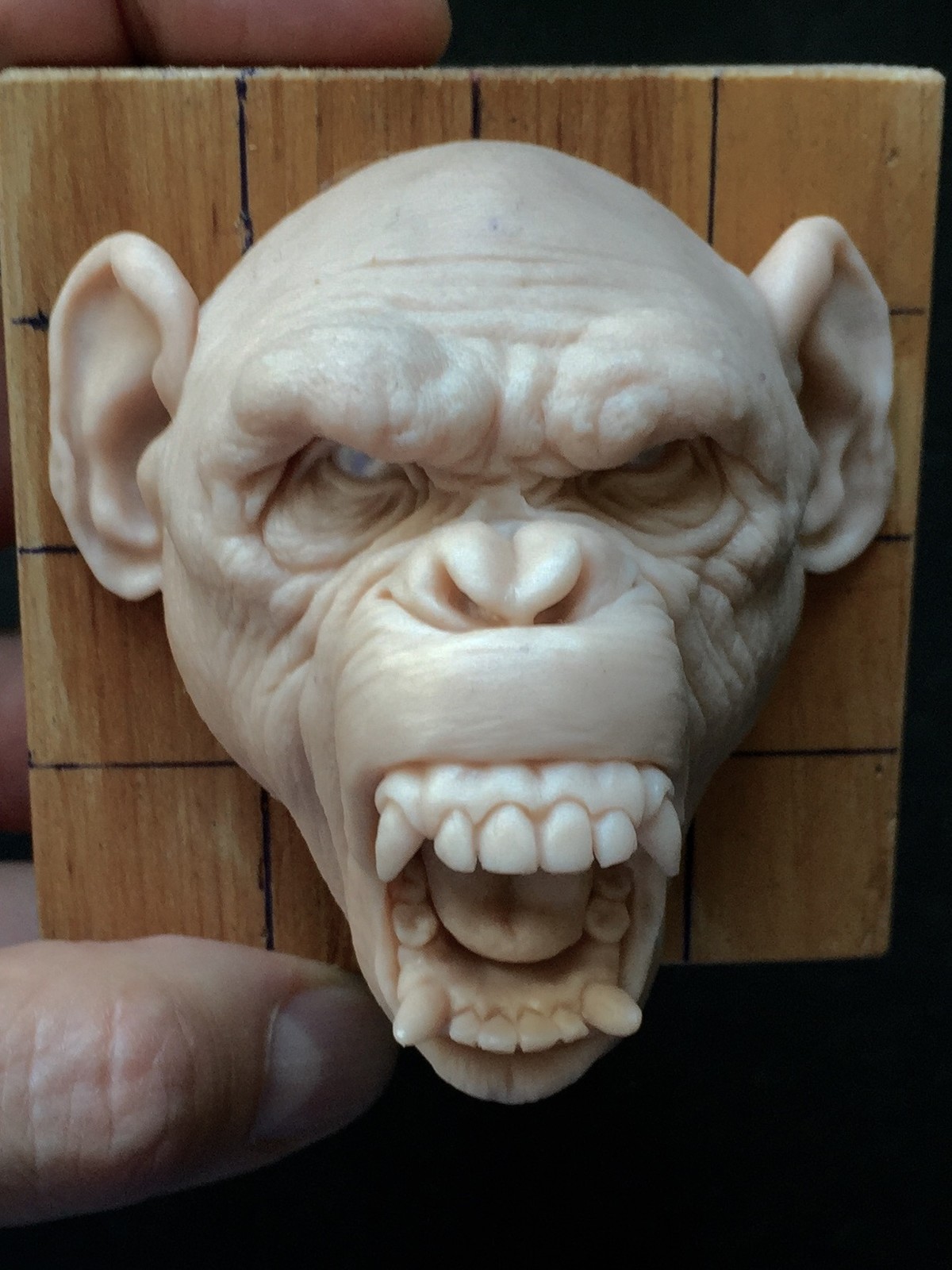 Monkey/super sculpy
