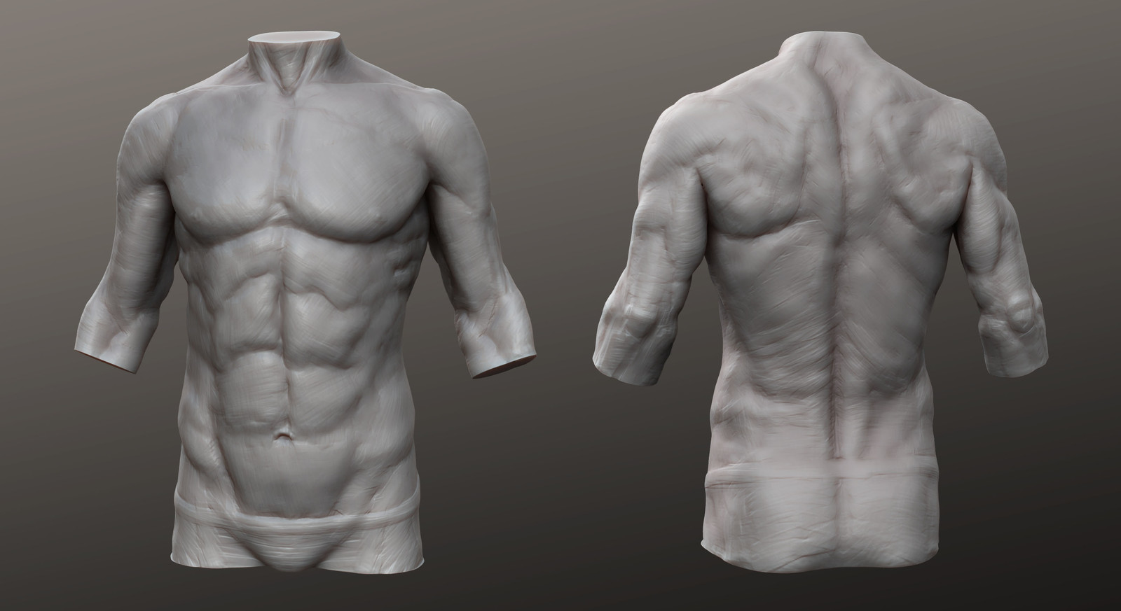Torso Study