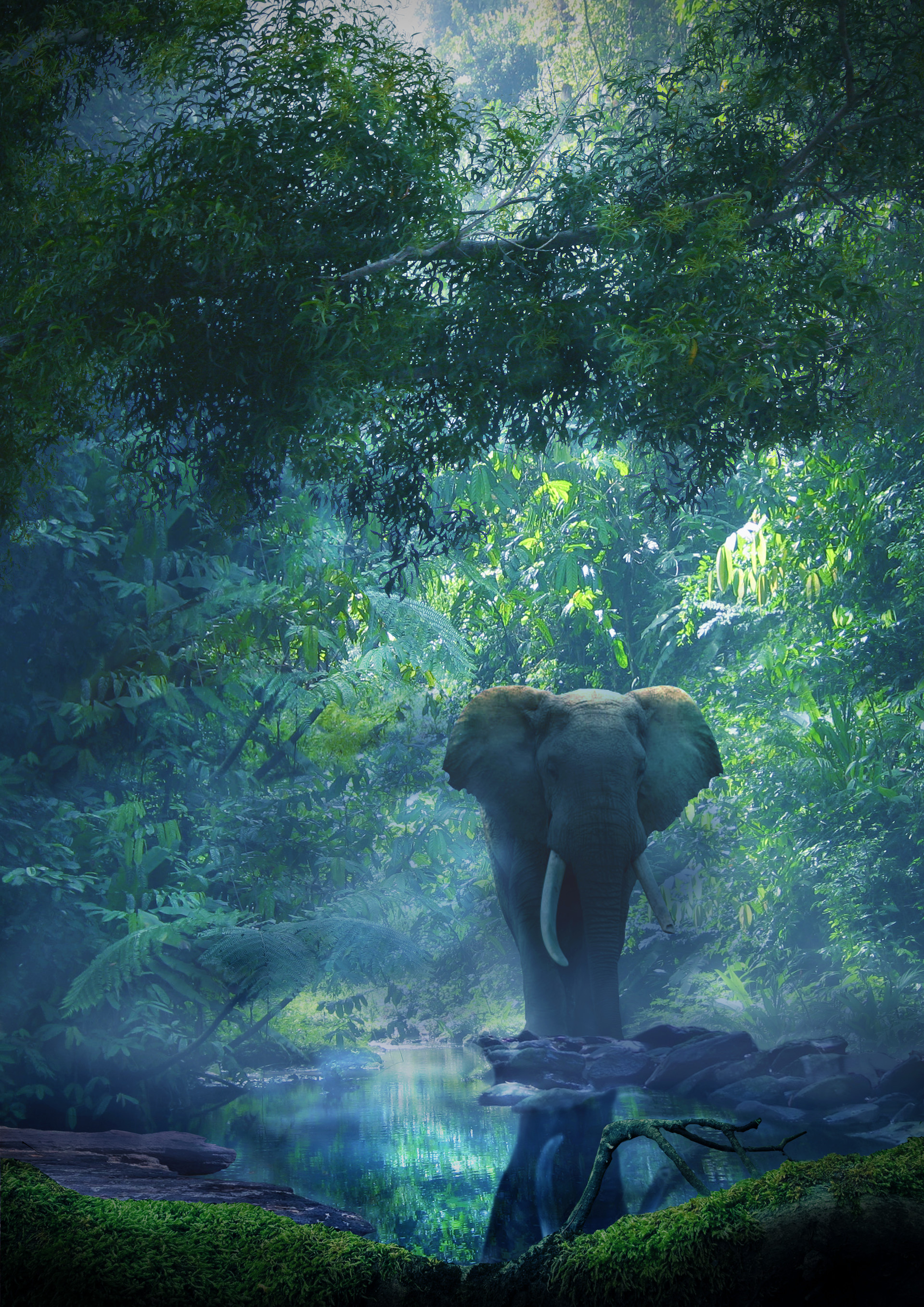 Johanna Aili Jungle We hope you enjoy our growing collection of hd images to use as a background or home screen for your. johanna aili