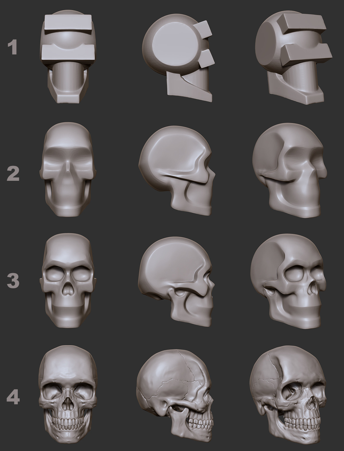 This is the process I used for sculpting the skull.  I learned this approach from Kris Costa during an online course.