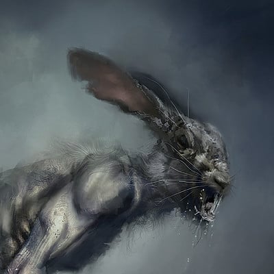 Damon hellandbrand rabbit jpg