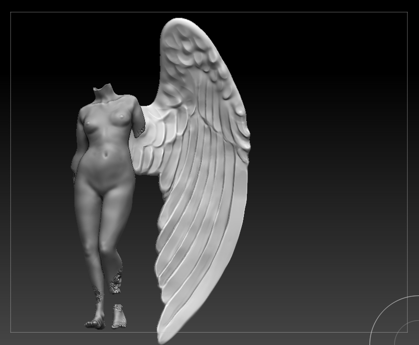 Progress Shot