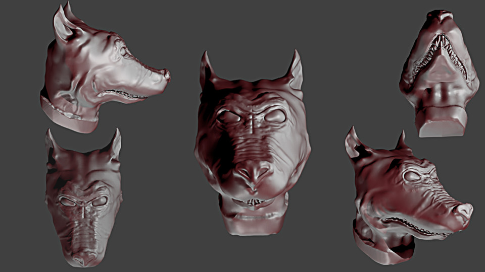 wild dog