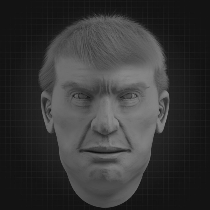 Artstation Donald Trump 3d Model Abuu Semtawa