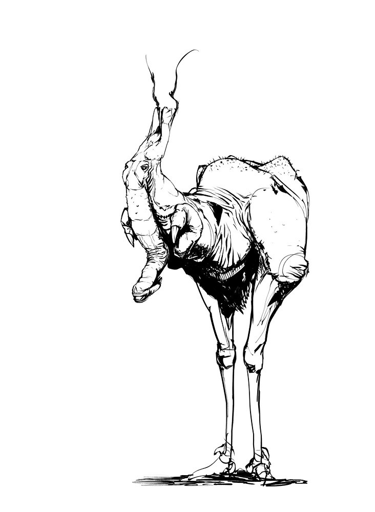 birdbeast