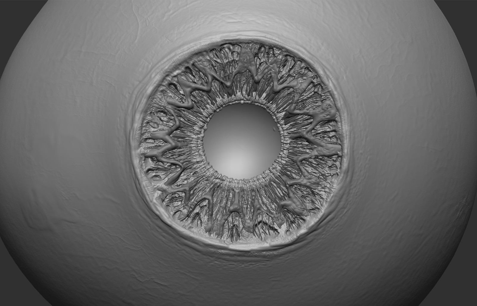 zbrushfront
