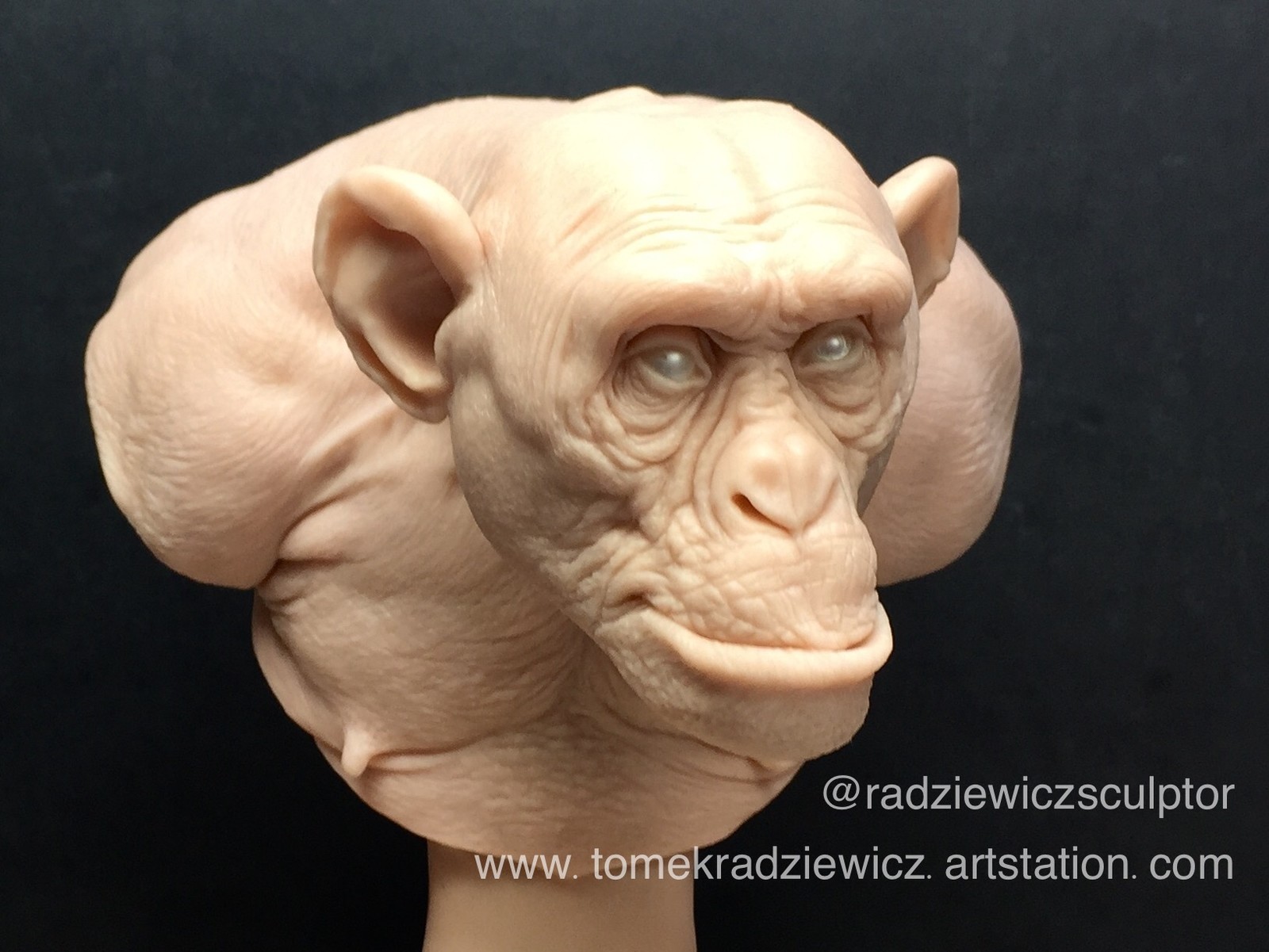 Monkey/ super sculpy
