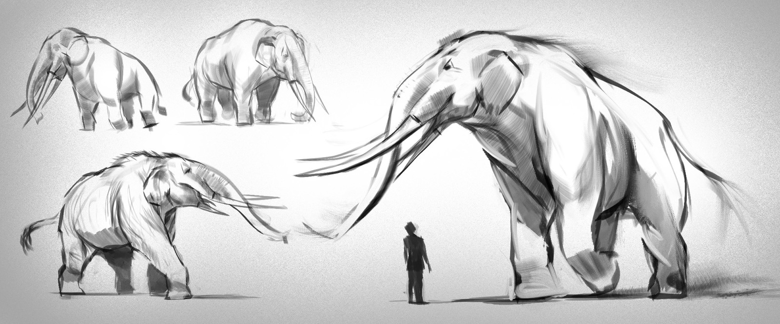 My goal was to illustrate this massive creature in a simple set up. I started by finding reference before doing some sketches (you can see some of them) The design is based on a prehistoric version of the elephant. I wanted to make it stronger than a norm