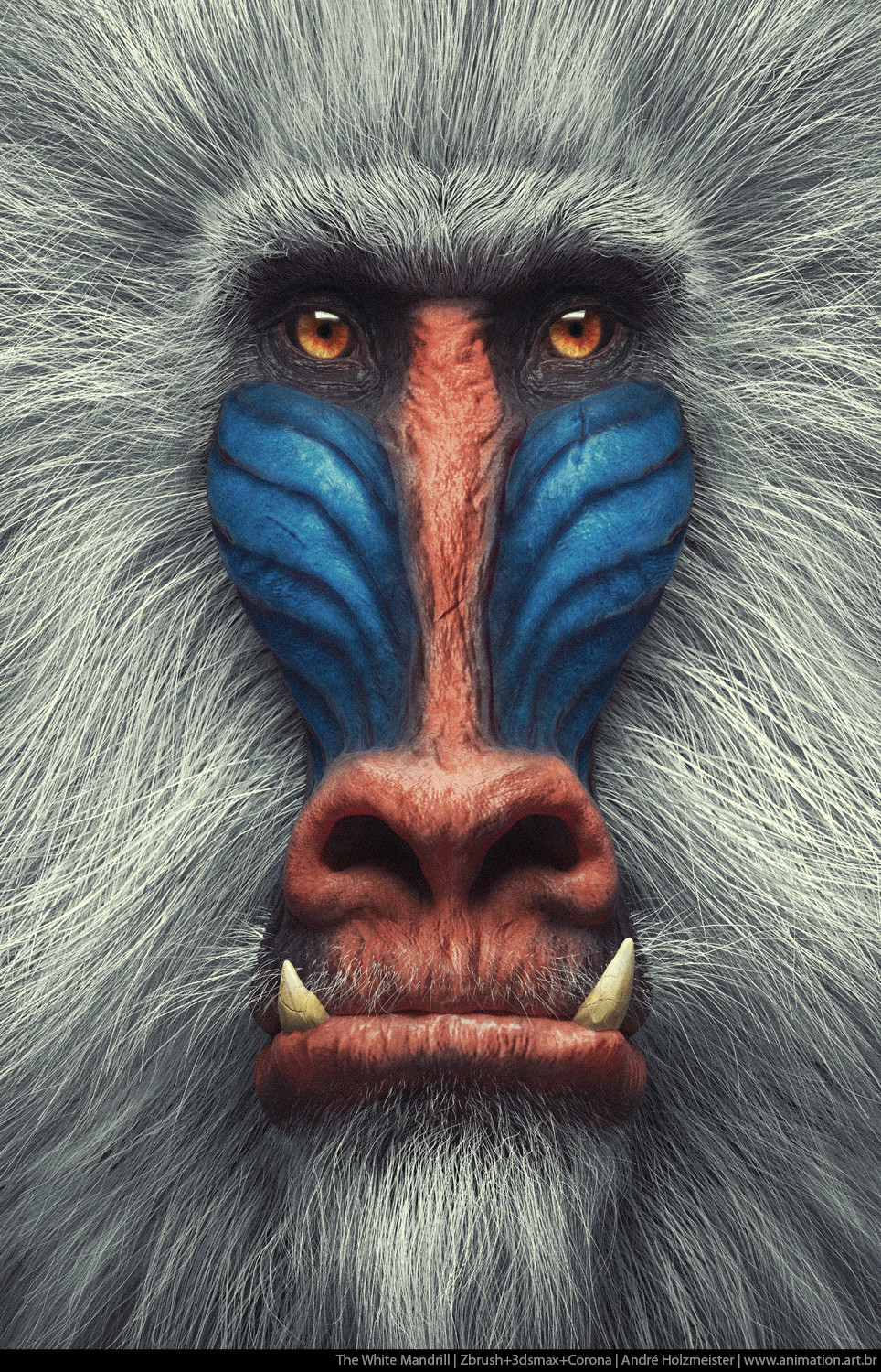 ArtStation The White Mandrill Primate Series