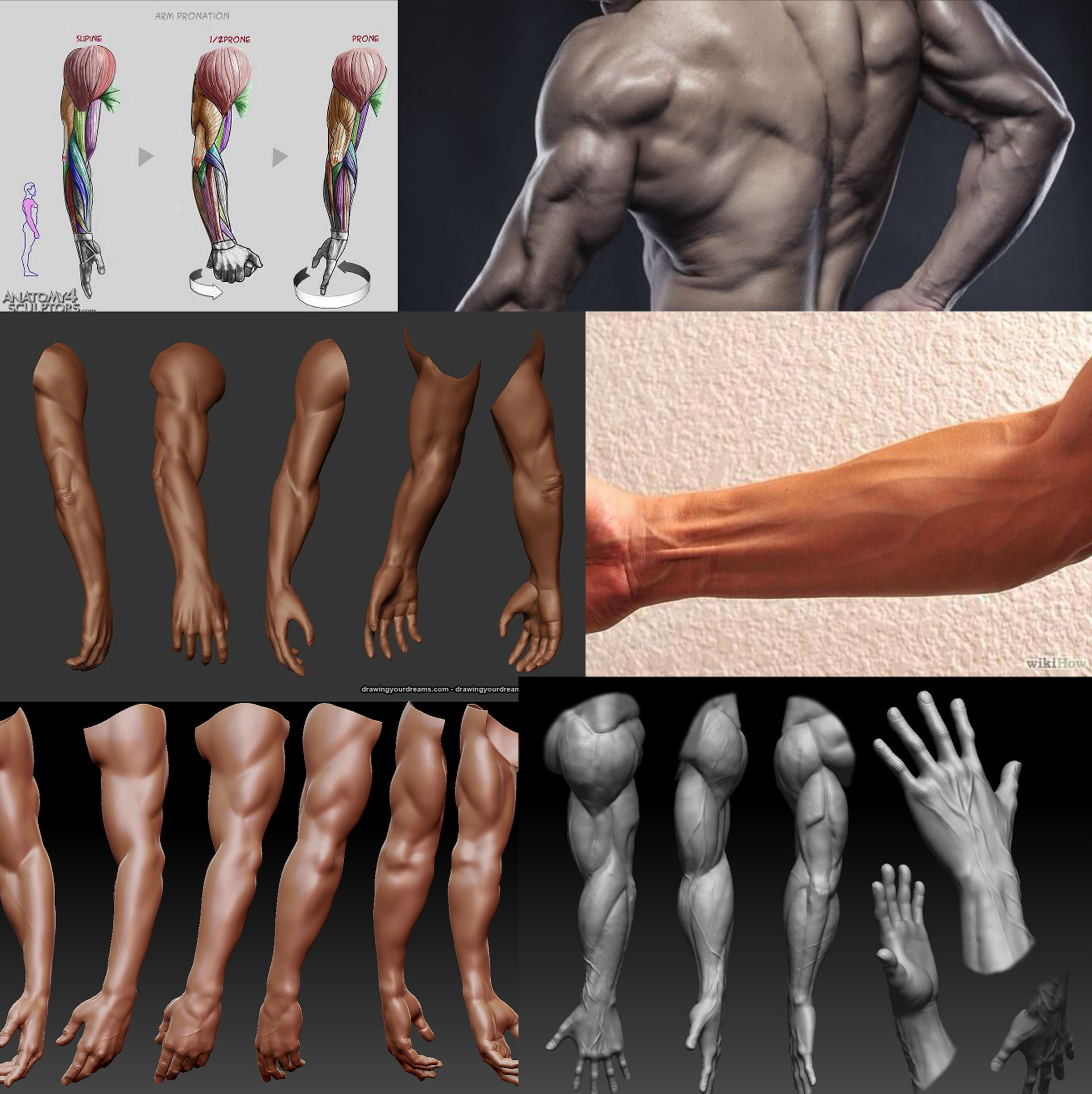 zbrush arm asset