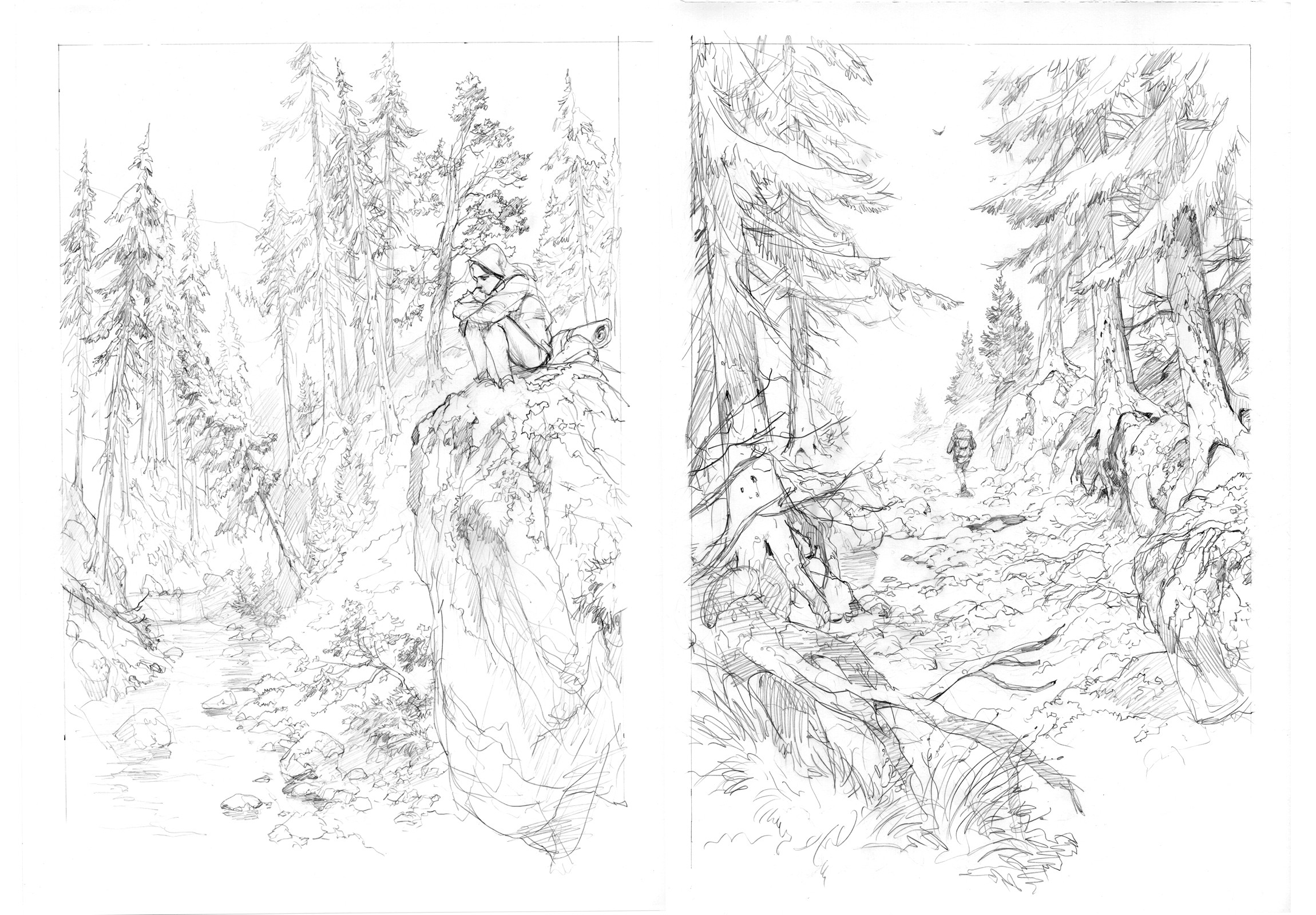 FOREST/ROAD