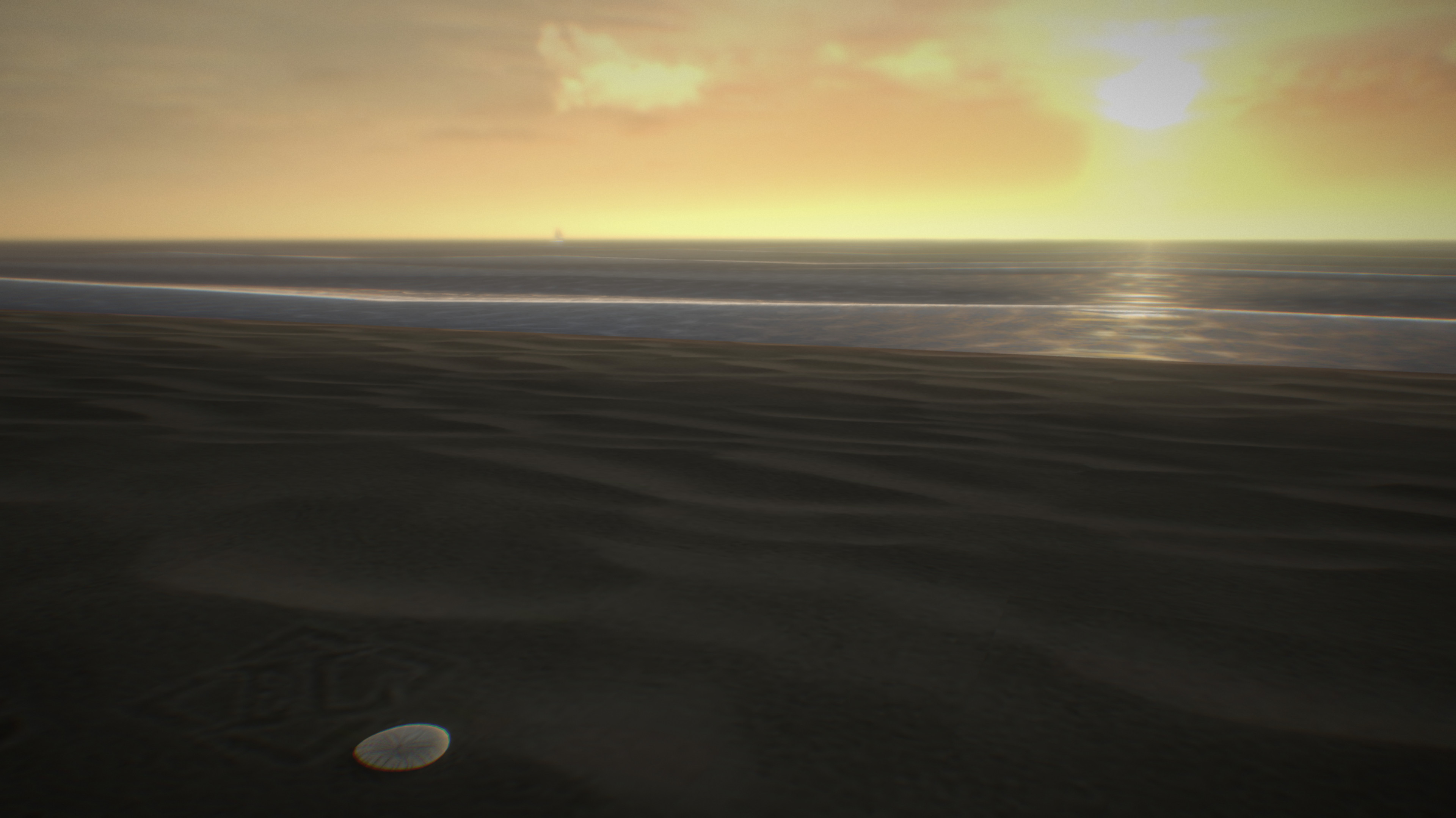 Screenshot with a sand dollar