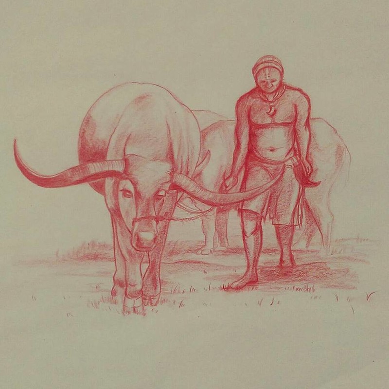 Sketches