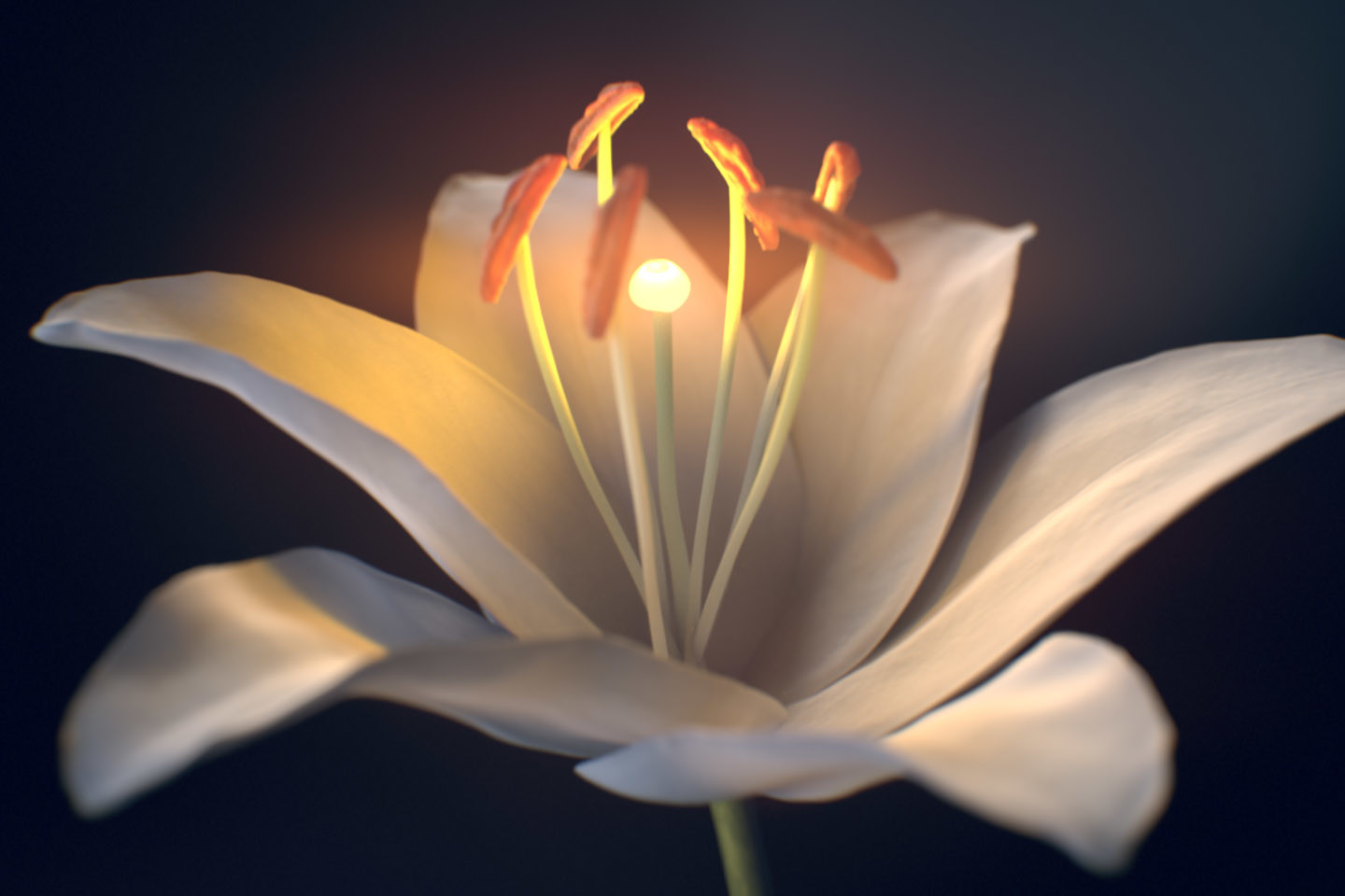 Blossoming flower new arrivals