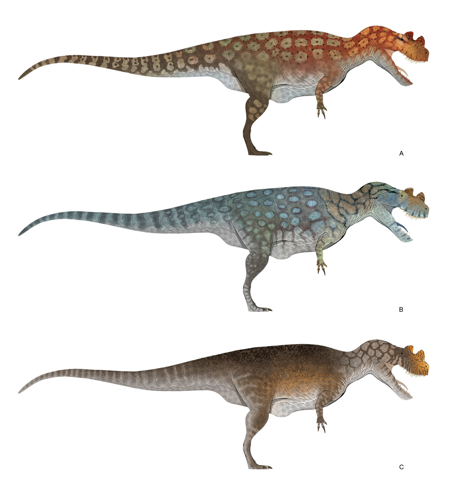 Raul Ramos Art - CGSociety Sculpting The Perfect Digital Dino