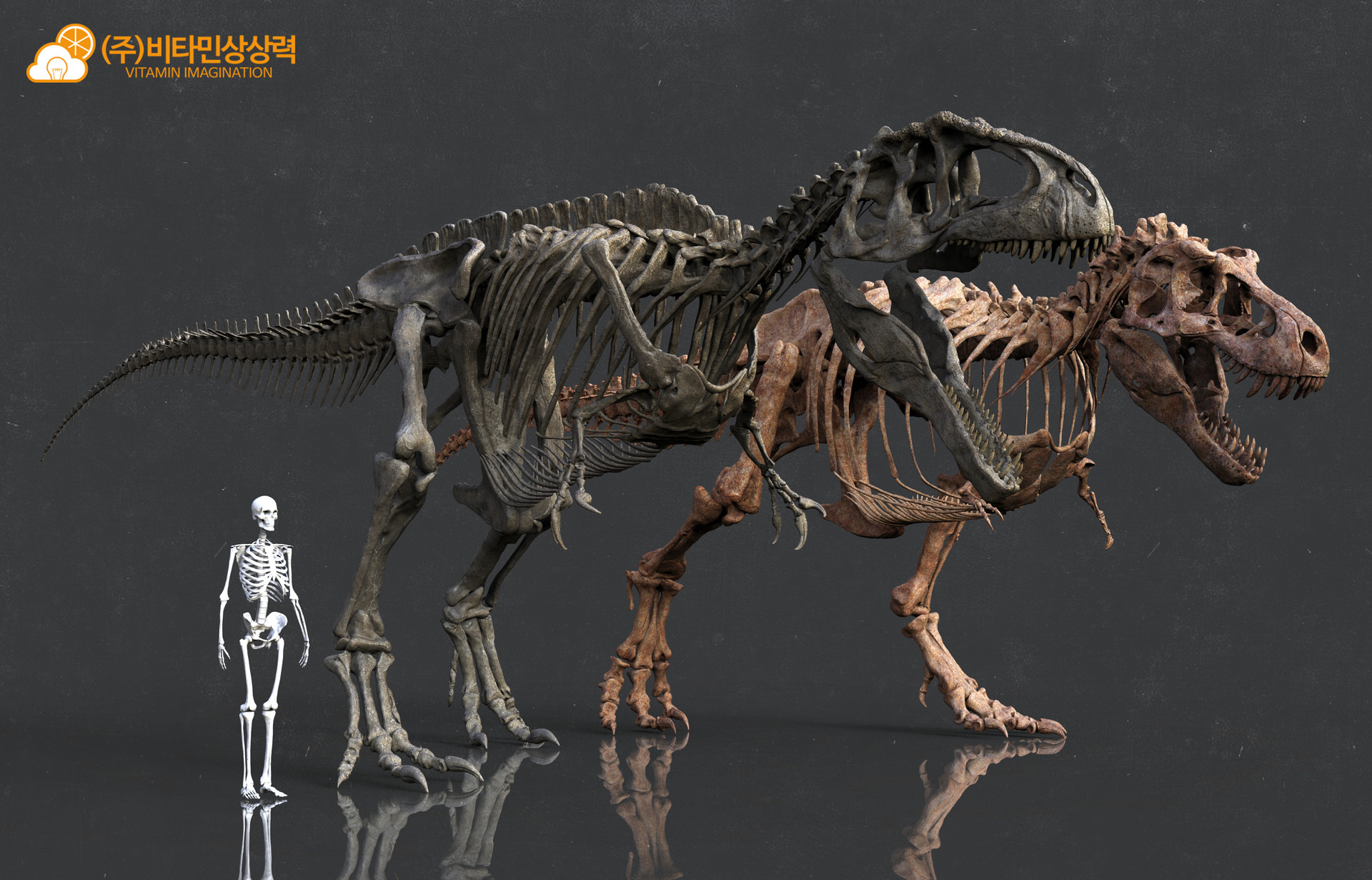 Tyrannosaurus Rex vs Giganotosaurus carolinii Vitamin-imagination-vs-1