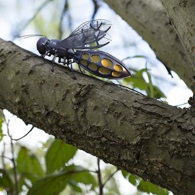 bee spy drone