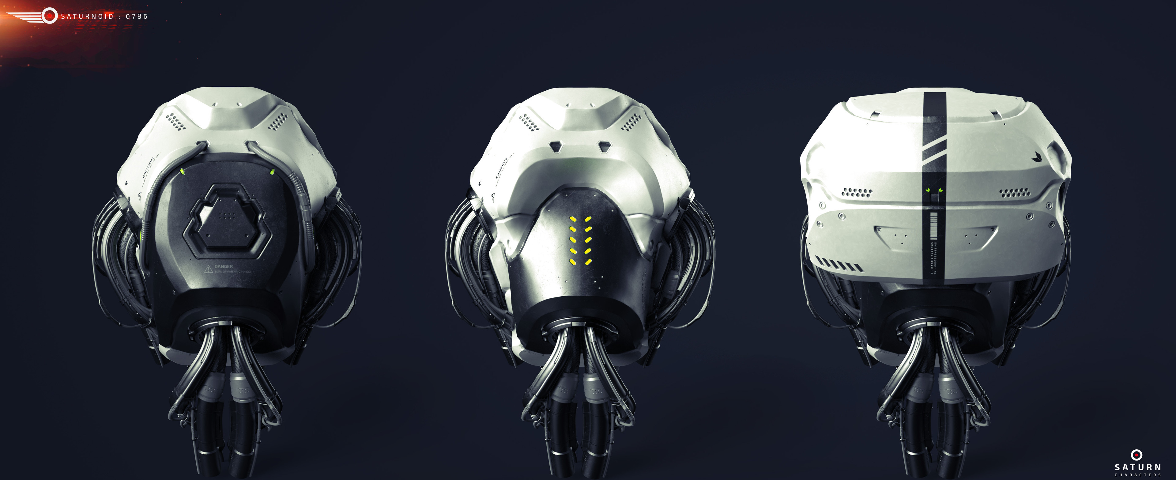 Face Back Render